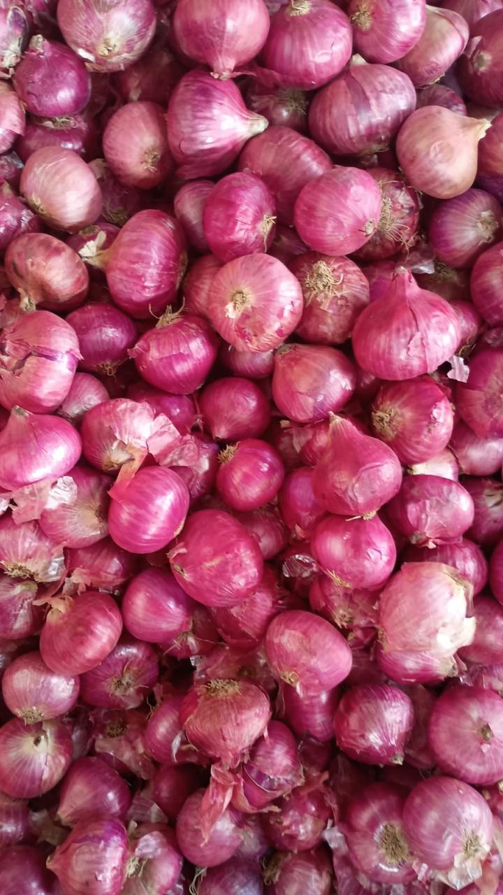 WhatsApp Image 2025-06-03 at 7.24.16 PM.jpeg